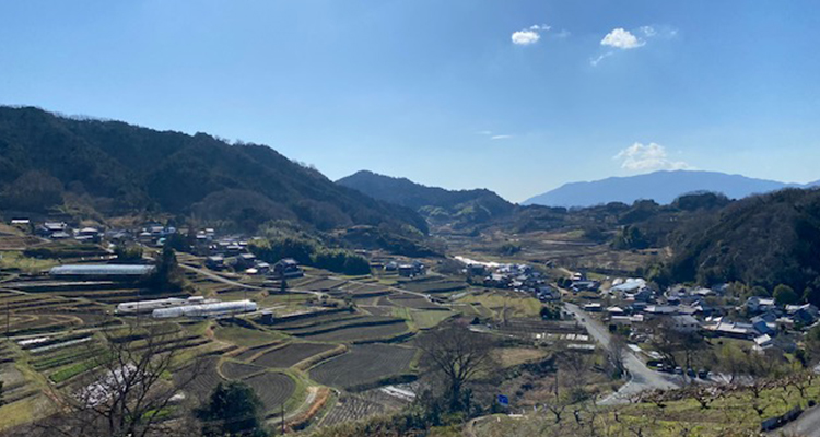 明日香村の変わらぬ景観を表すような棚田。